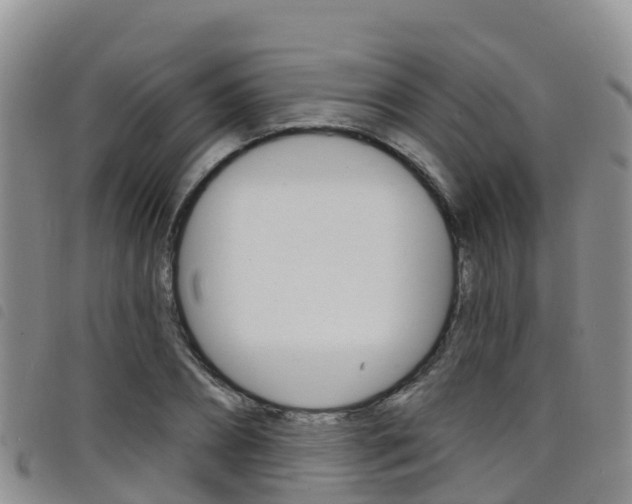 X0000098210882200804241059