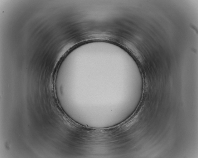 X0000098210883200804241059