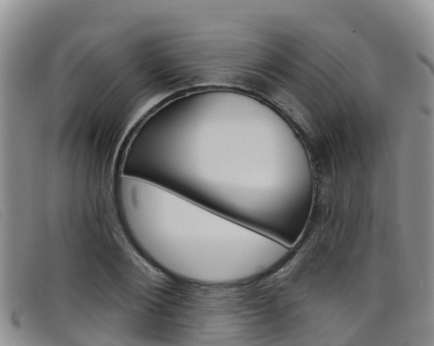 X0000098210884200804241059