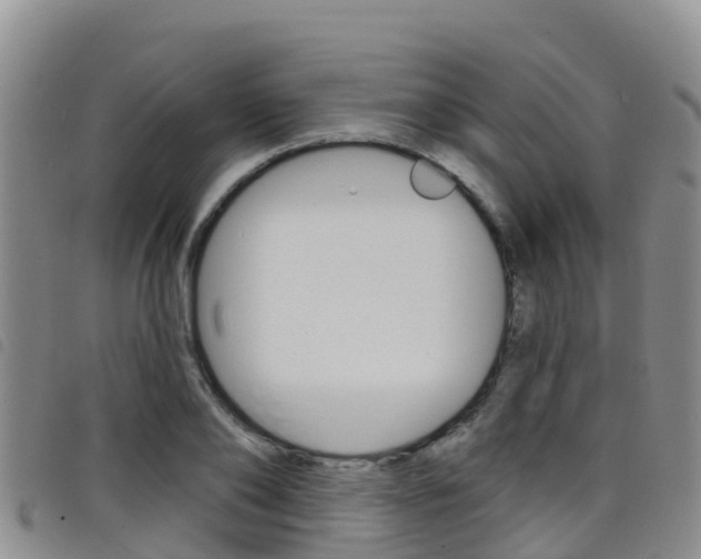 X0000098210886200804241059