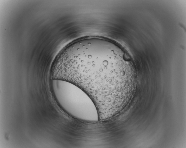 X0000098210887200804241059