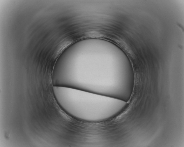 X0000098210889200804241059
