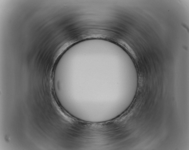 X0000098210890200804241059