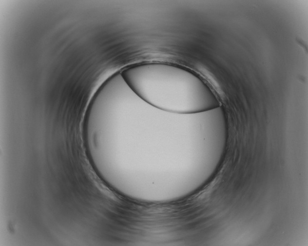 X0000098210891200804241059