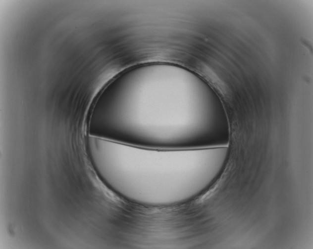 X0000098210892200804241059