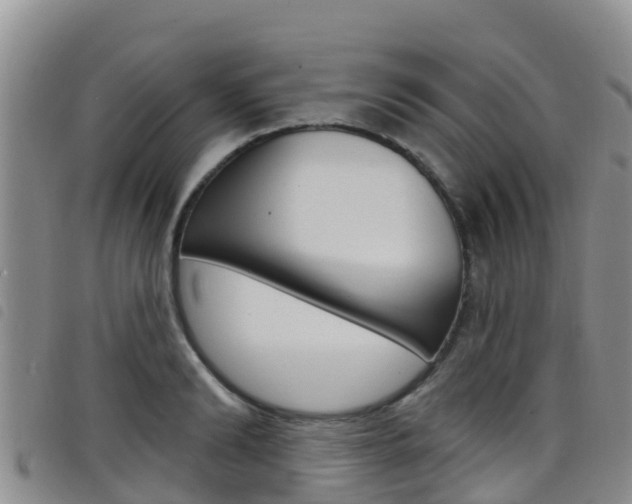 X0000098210894200804241059