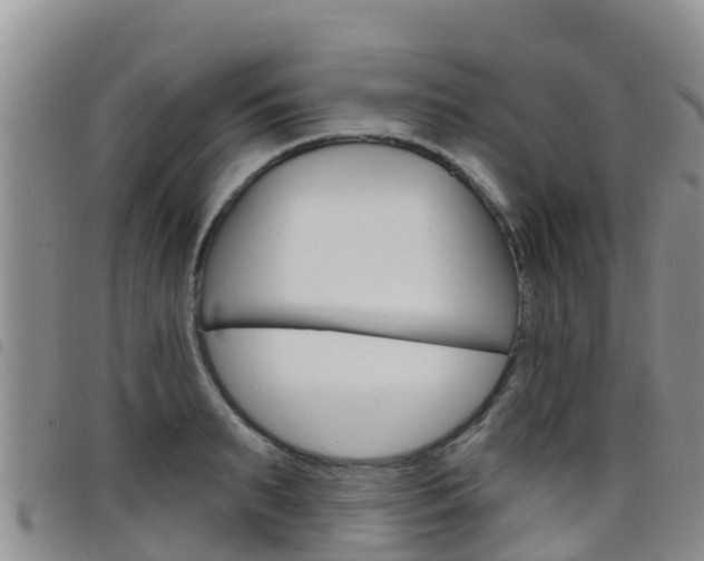 X0000098210895200804241059