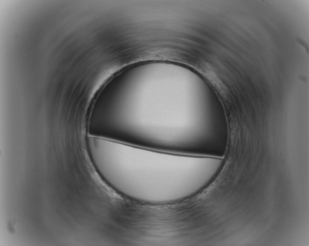 X0000098210896200804241059
