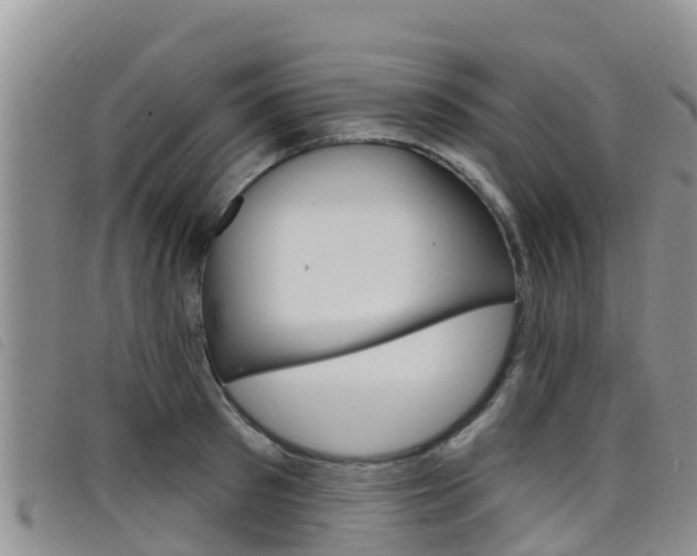 X0000098210897200804241059