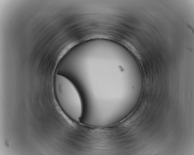 X0000098210898200804241059