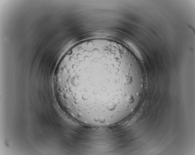 X0000098210899200804241059