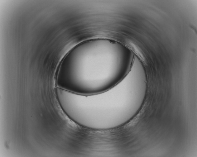 X0000098210900200804241059