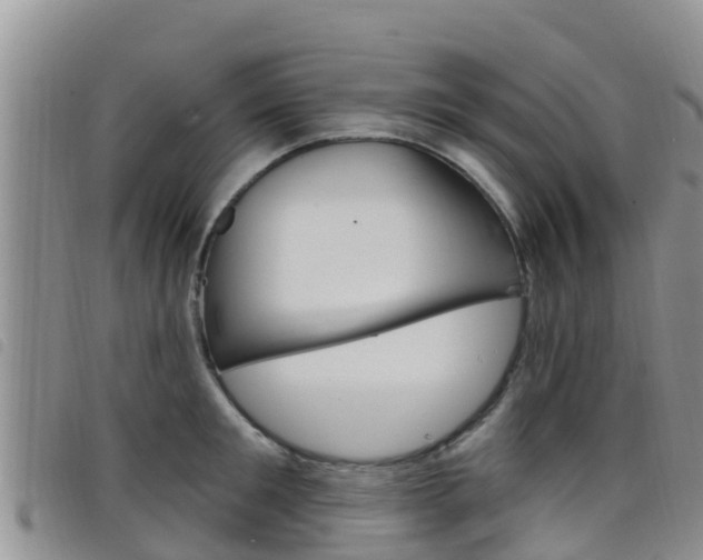 X0000098210901200804241059