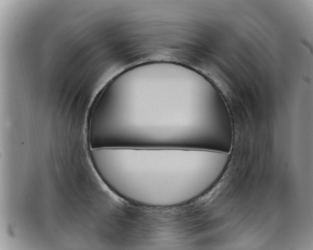 X0000098210902200804241059