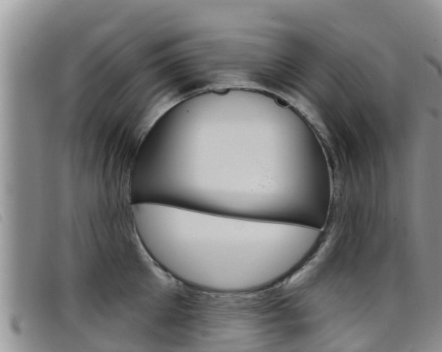 X0000098210905200804241059