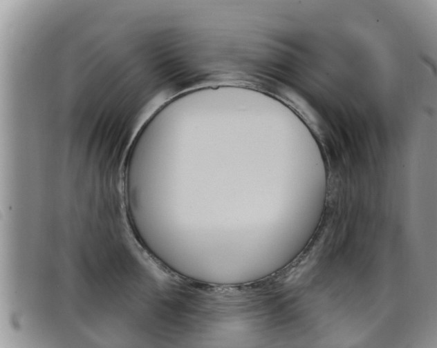 X0000098210907200804241059