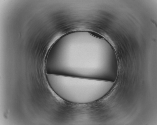 X0000098210909200804241059
