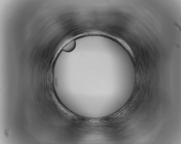 X0000098210911200804241059