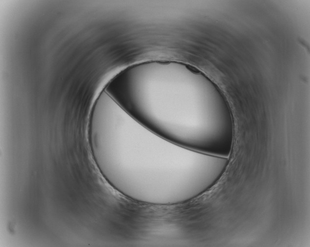 X0000098210912200804241059