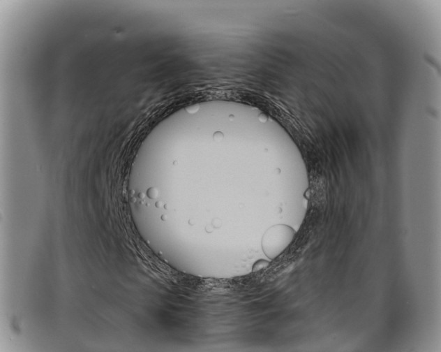 X0000098210913200804241058