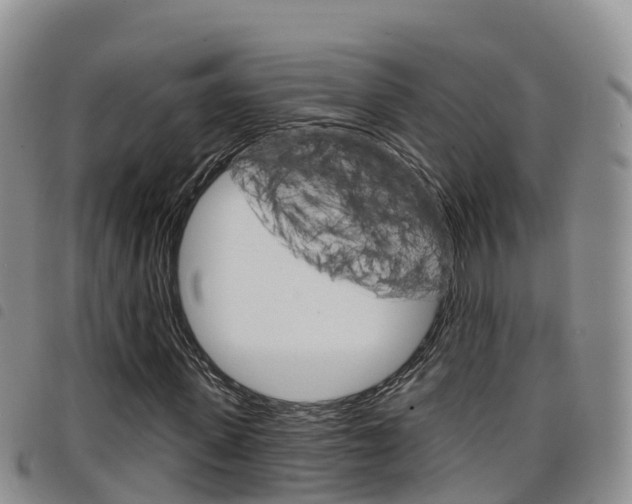 X0000098210915200804241058
