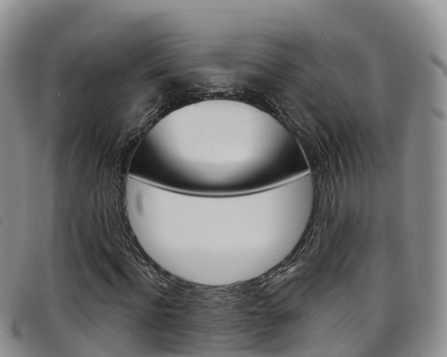 X0000098210916200804241058
