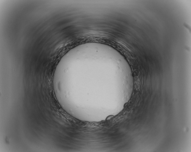 X0000098210917200804241058