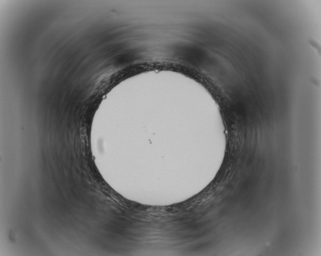 X0000098210918200804241058