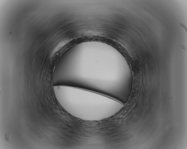 X0000098210919200804241058