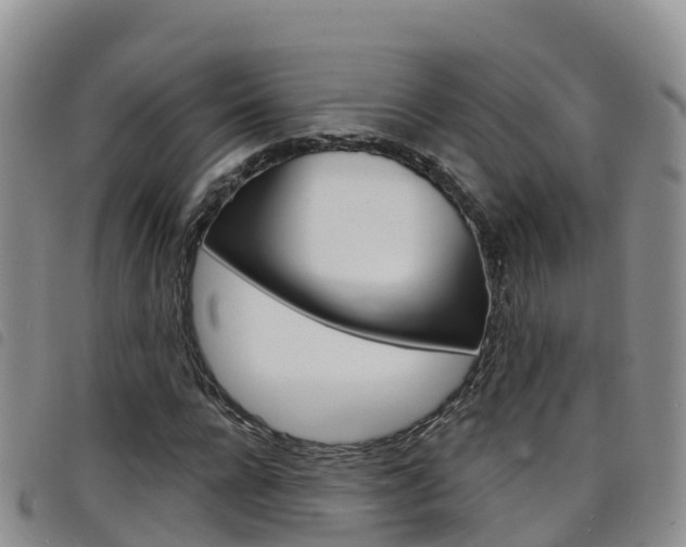X0000098210920200804241058