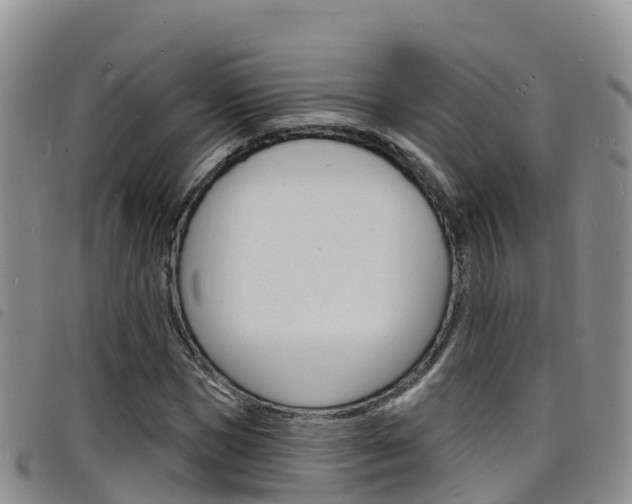 X0000098210921200804241058