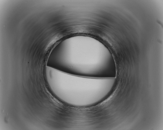 X0000098210922200804241058