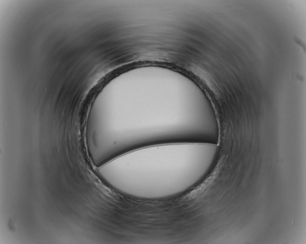 X0000098210923200804241058