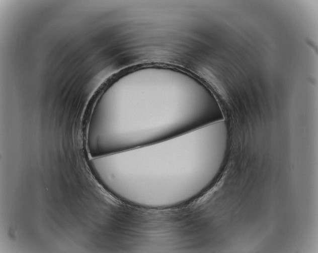 X0000098210924200804241058