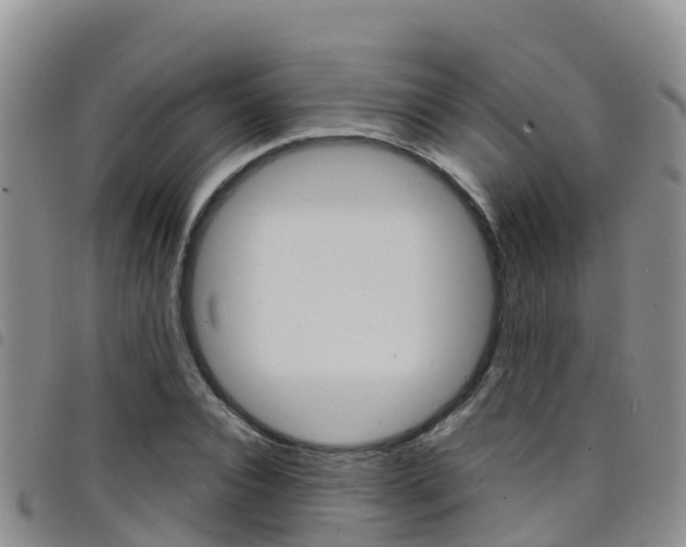 X0000098210928200804241058