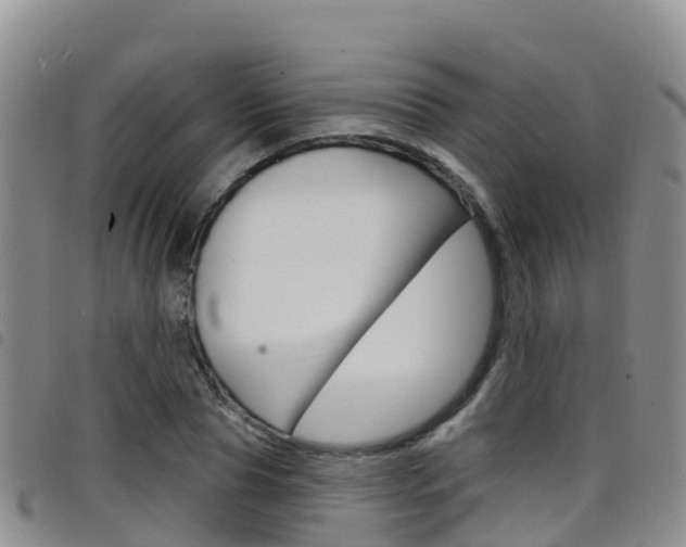 X0000098210929200804241058