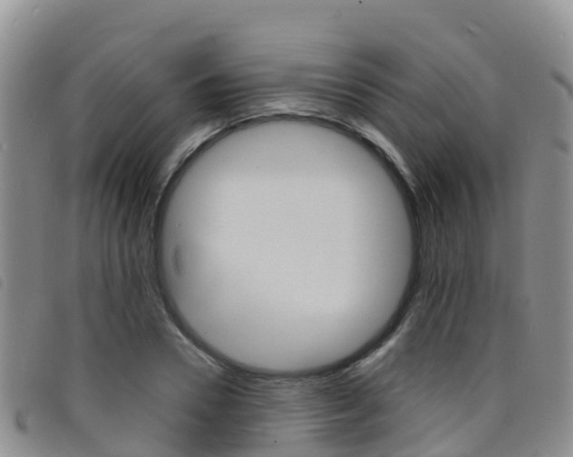 X0000098210930200804241058