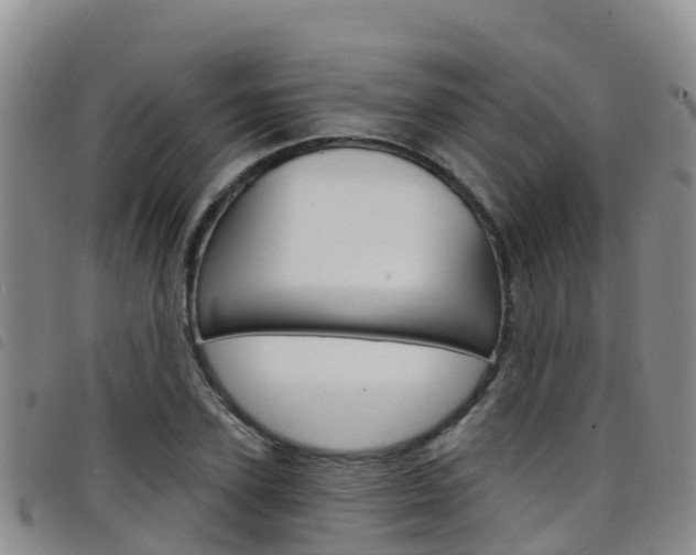 X0000098210931200804241058