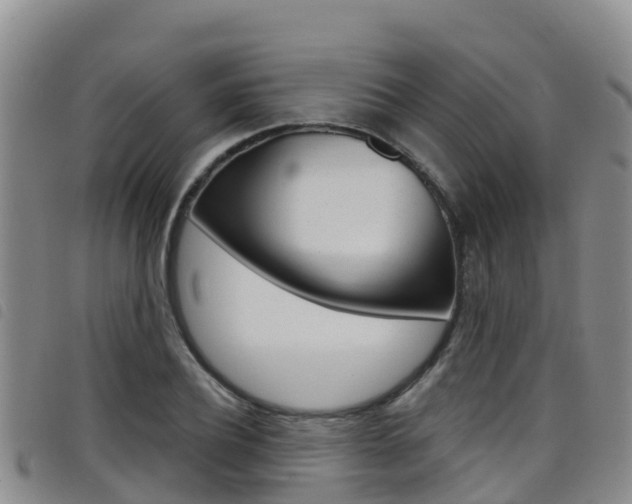 X0000098210932200804241058