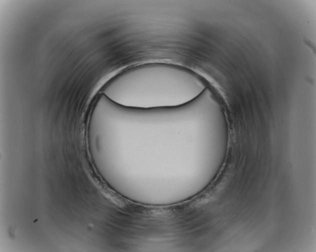 X0000098210933200804241058