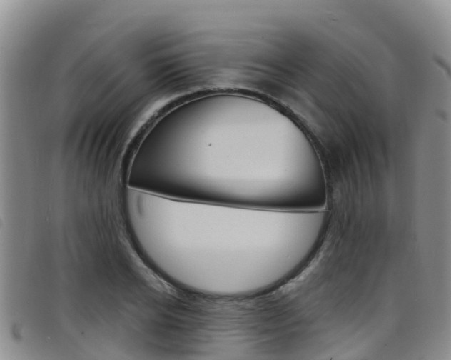 X0000098210934200804241058