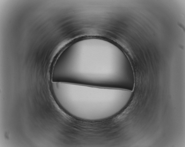 X0000098210935200804241058