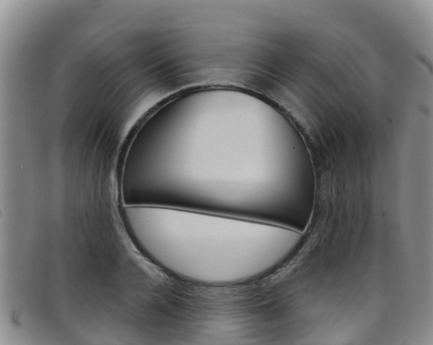 X0000098210936200804241058