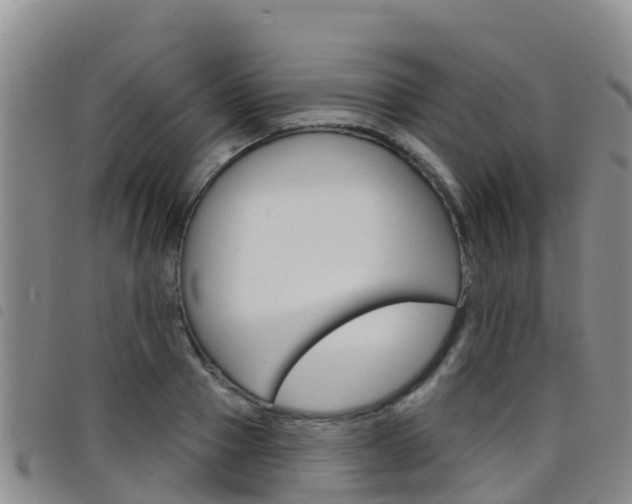 X0000098210937200804241058