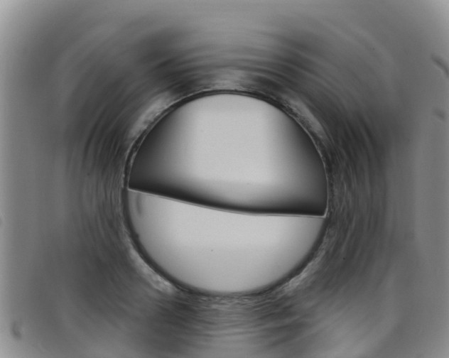X0000098210938200804241058