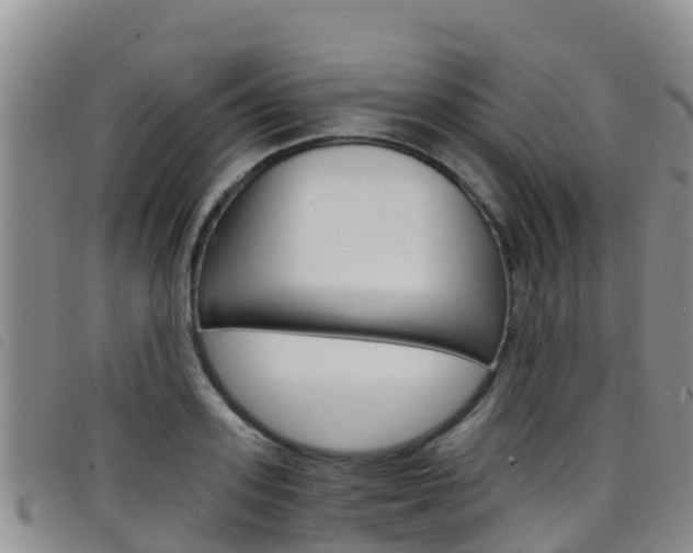 X0000098210939200804241058