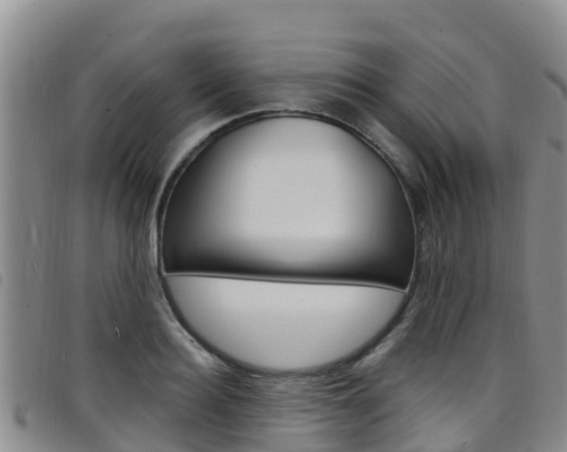 X0000098210940200804241058