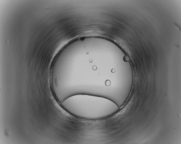 X0000098210941200804241058