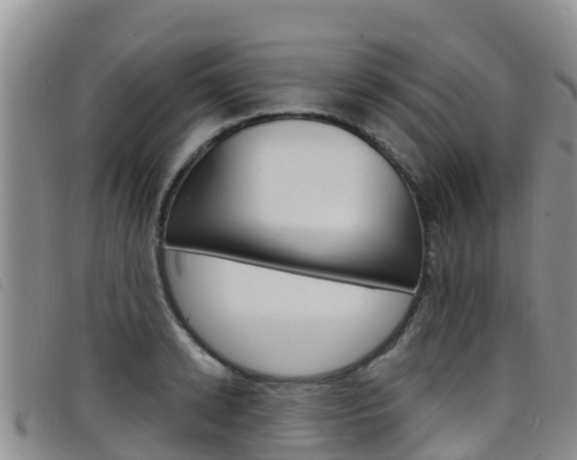 X0000098210942200804241058