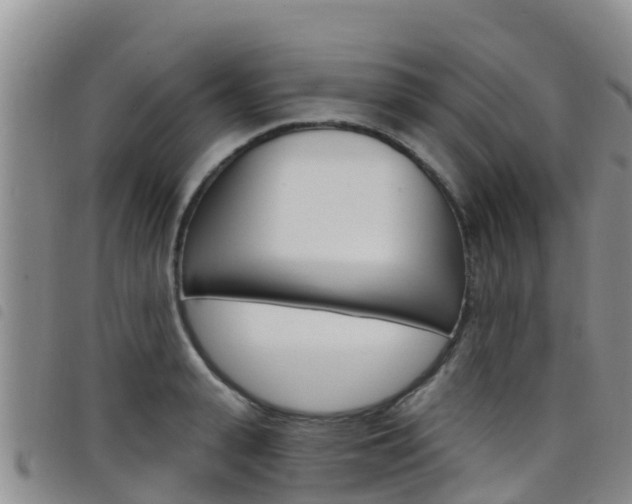 X0000098210943200804241058